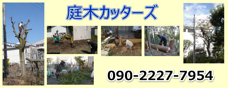 庭木カッターズ | 東京都中野区の庭木の伐採を承ります。